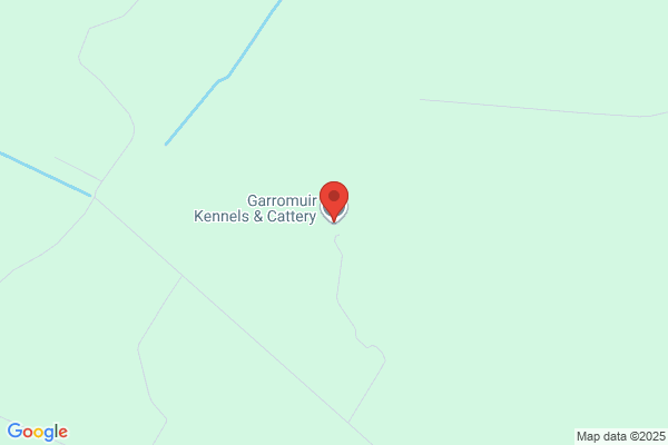Garromuir Kennels