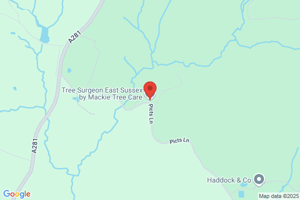 Mackie Tree Care