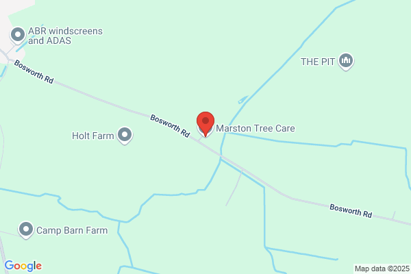 Marston Tree Care