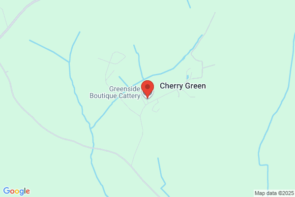 Greenside Cattery