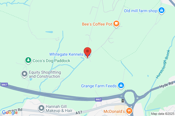 Quarryside Boarding Kennels & Cattery