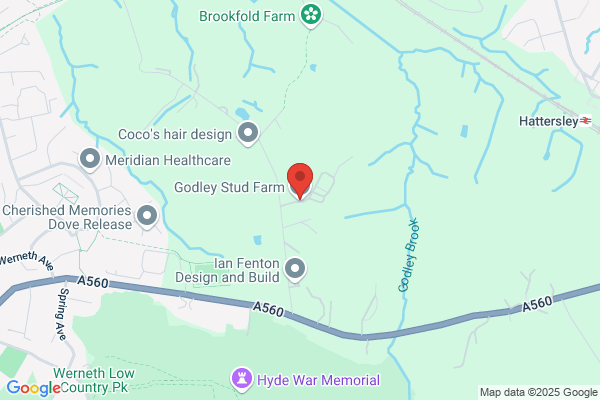Godley Stud Farm