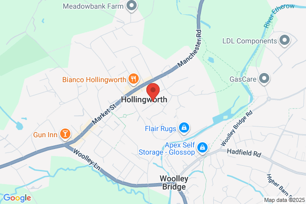 Goldline Hollins