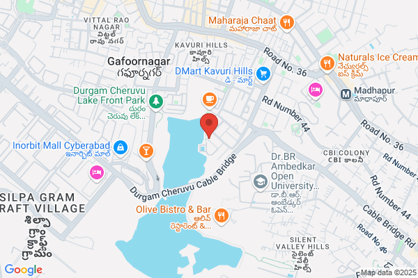 Sneha Software Solutions