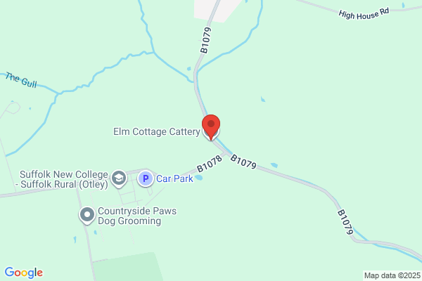 Elm Cottage Cattery