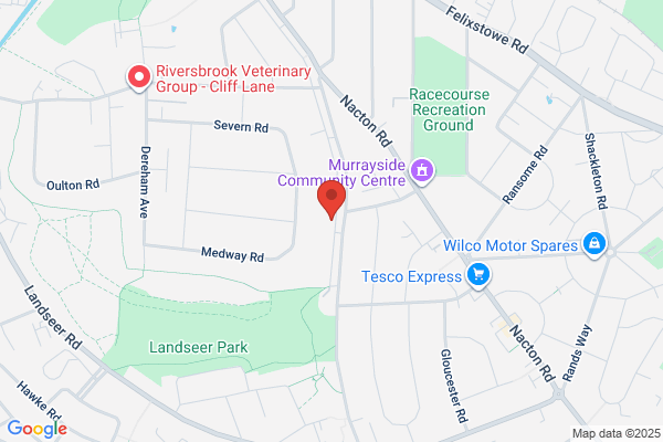 STE Independent Celebrant & Events