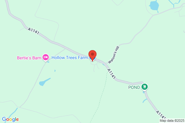 Hollow Trees