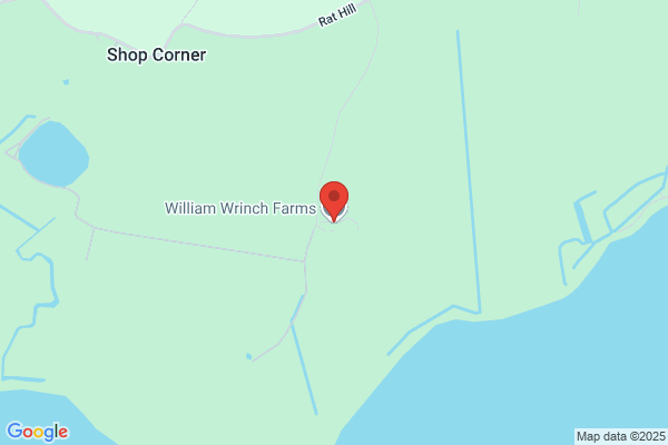 Wrinch