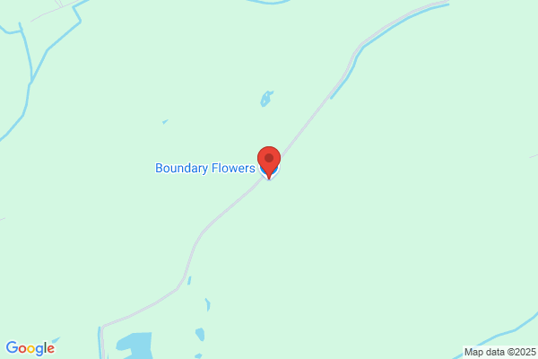Boundary Flowers