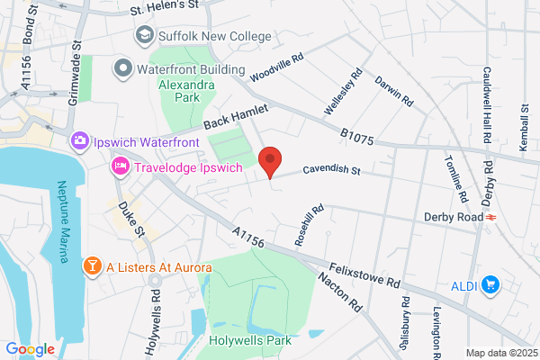 Jehovah's Witnesses