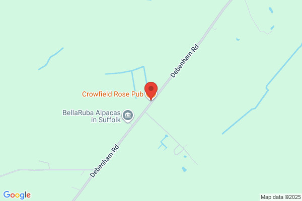 The Rose