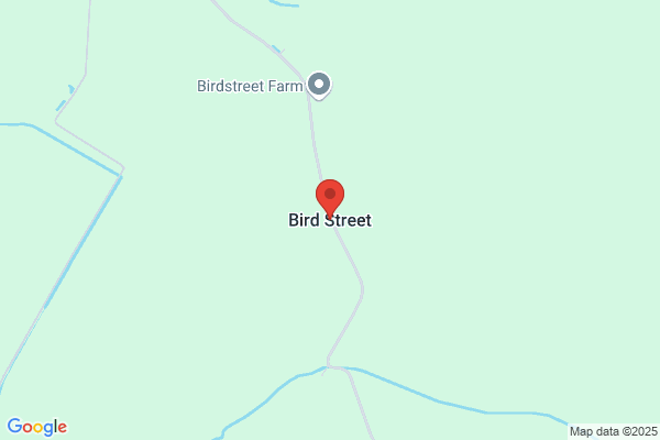 Spencer Bird