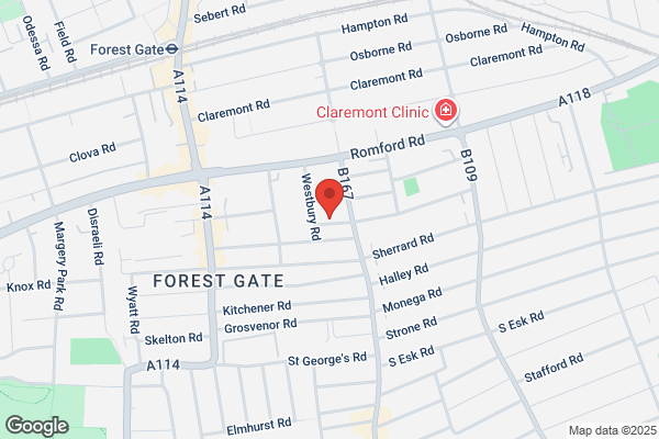 Freelance WordPress Developer London