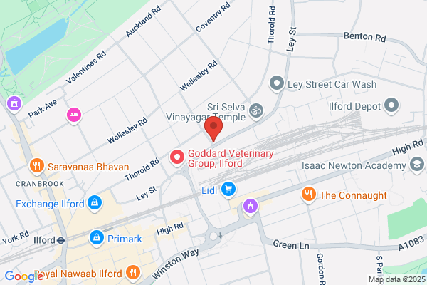 Bridge Garage Vehicle Accident Repair Centre