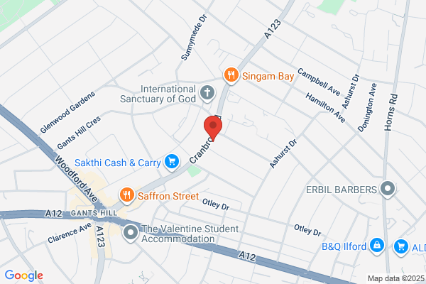 Professional Dry Cleaners