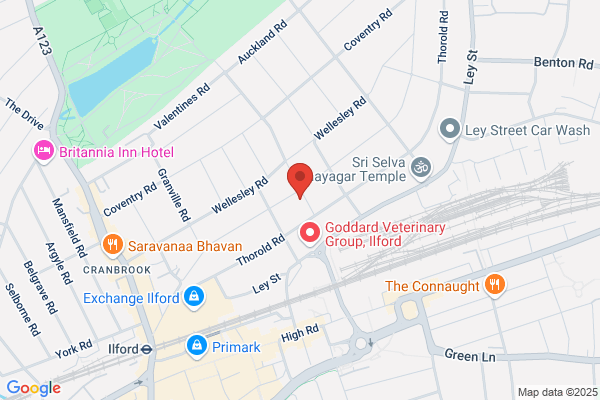 Ilford Muslim Society