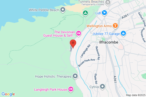 The Elmfield