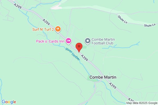 Combe Martin Library
