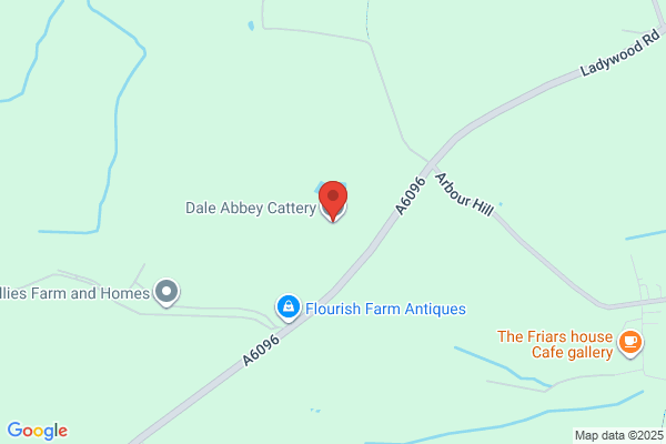 Dale Abbey Boarding Cattery