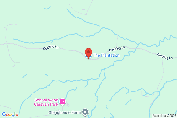 The Plantation