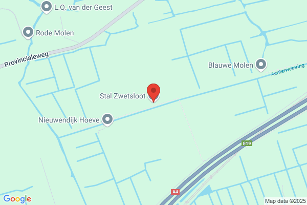 Zwetsloot