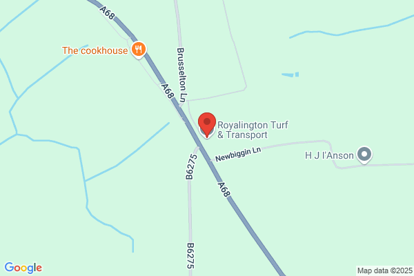 Royalington Turf