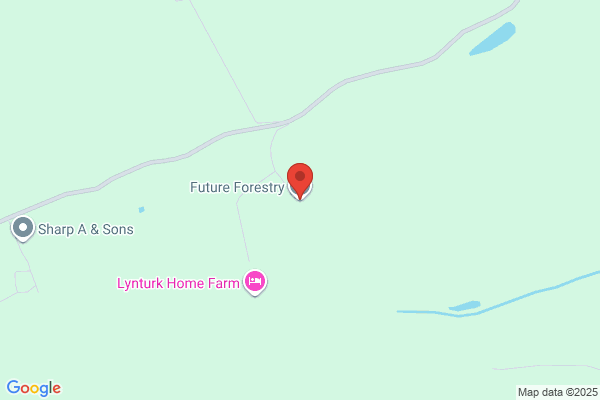 Fountain Forestry Ltd