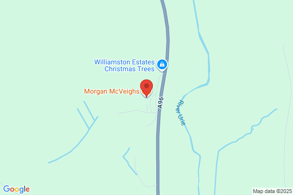 Morgan McVeighs