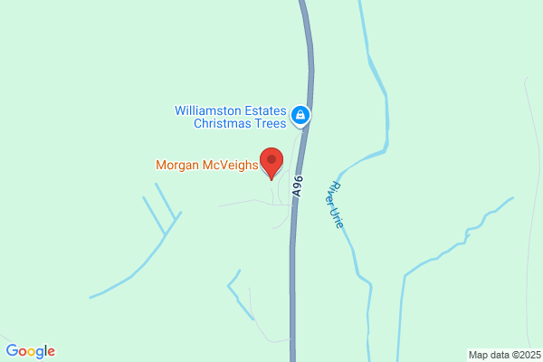 Morgan McVeighs