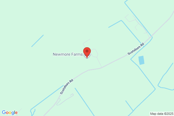Newmore House