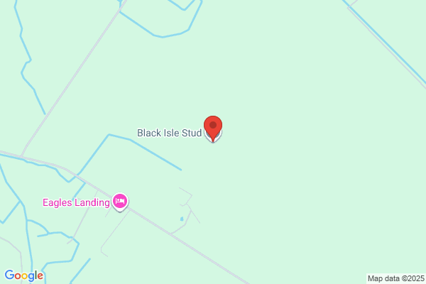 Black Isle Riding Centre