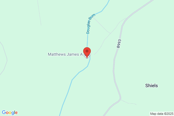 James A Matthews
