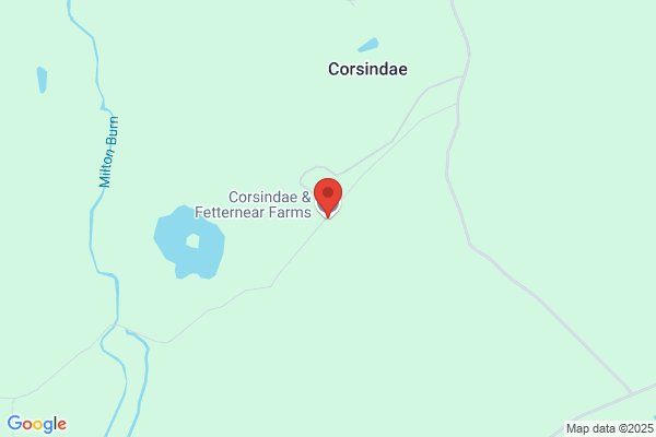 Corsindae & Fetternear Farms