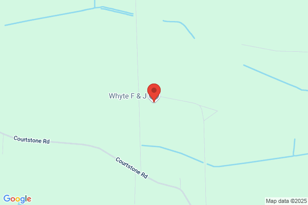 Whyte