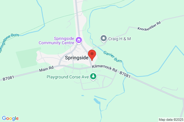 Springside Bargain Stores