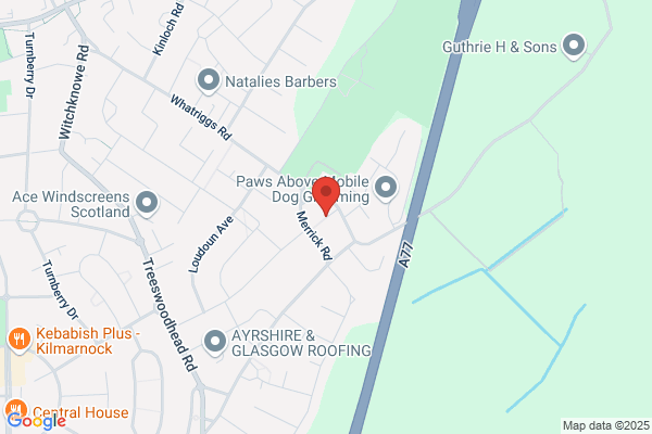 Kilmarnock Plasterers