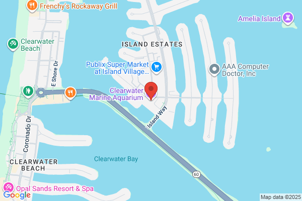 Clear Water Marine