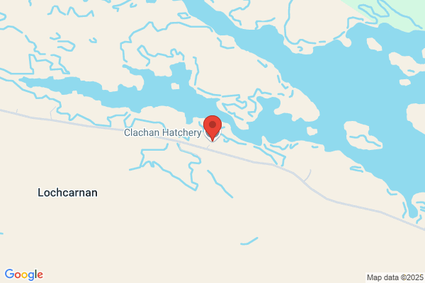 Clachan Hatchery