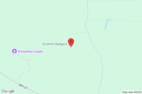 Badgers Highland