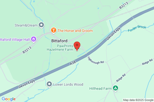 Hazelmere Cattery