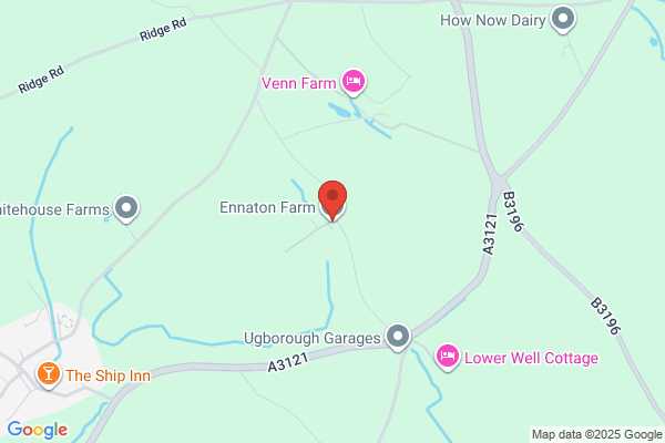 E G Hingston & Son