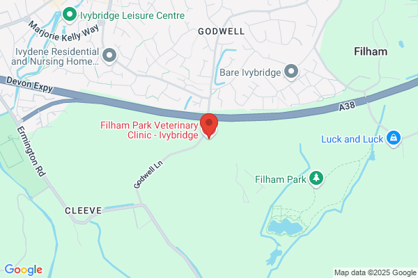 Filham Park Veterinary Clinic - Ivybridge