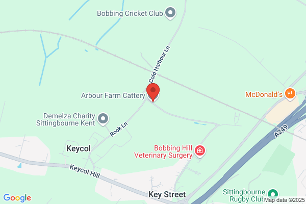 Arbour Farm Cattery