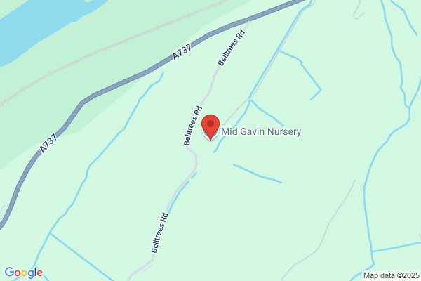 Mid Gavin Nursery