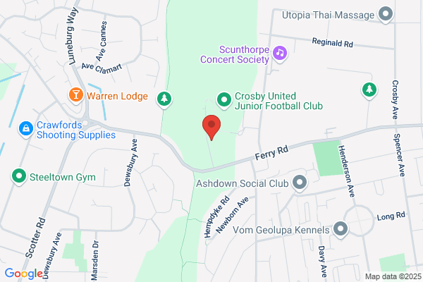 Theresa Dawson MHS (dip.hyp) FFHT