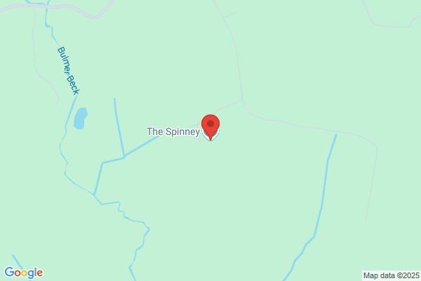 Spinney