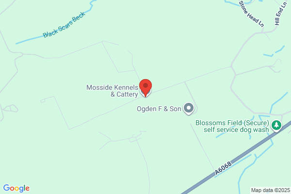 Mosside Kennels & Cattery