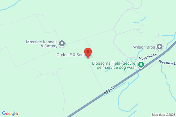 F Ogden & Son