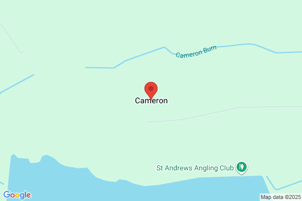 Austin Cameron