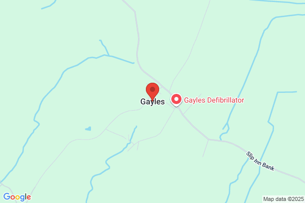 Gayle's Cuisine